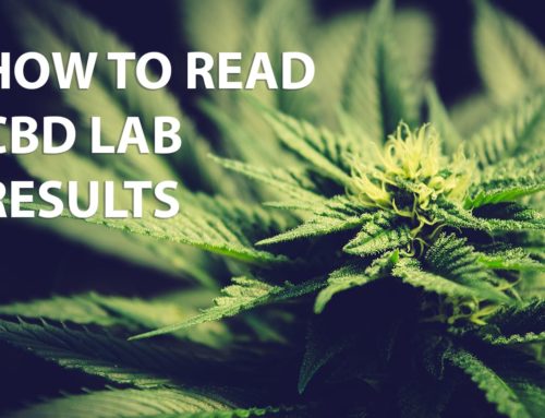 How to read CBD lab tests