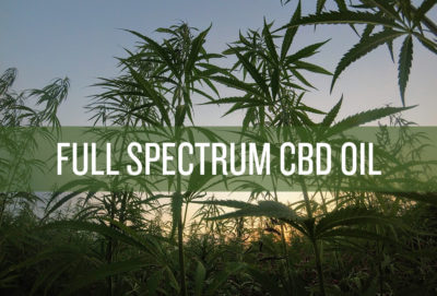 Full Spectrum CBD Oil. Why Is It So Important? – Hemp Daddy's Therapeutics