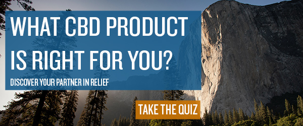 CBD Product Quiz